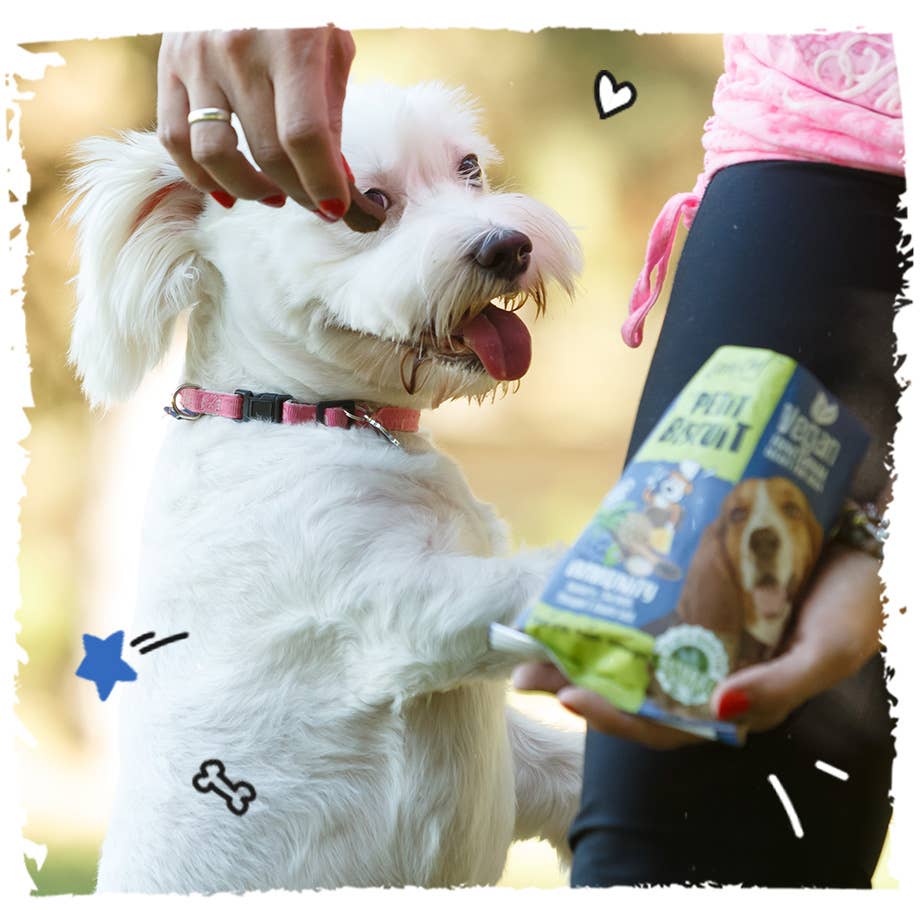 United Pet Brands - Venta al por mayor Chuches - Perros - Galletas Funcionales Veganas para Perros, Sin Granos, Apoyo al Sistema Inmunológico - 100 g4