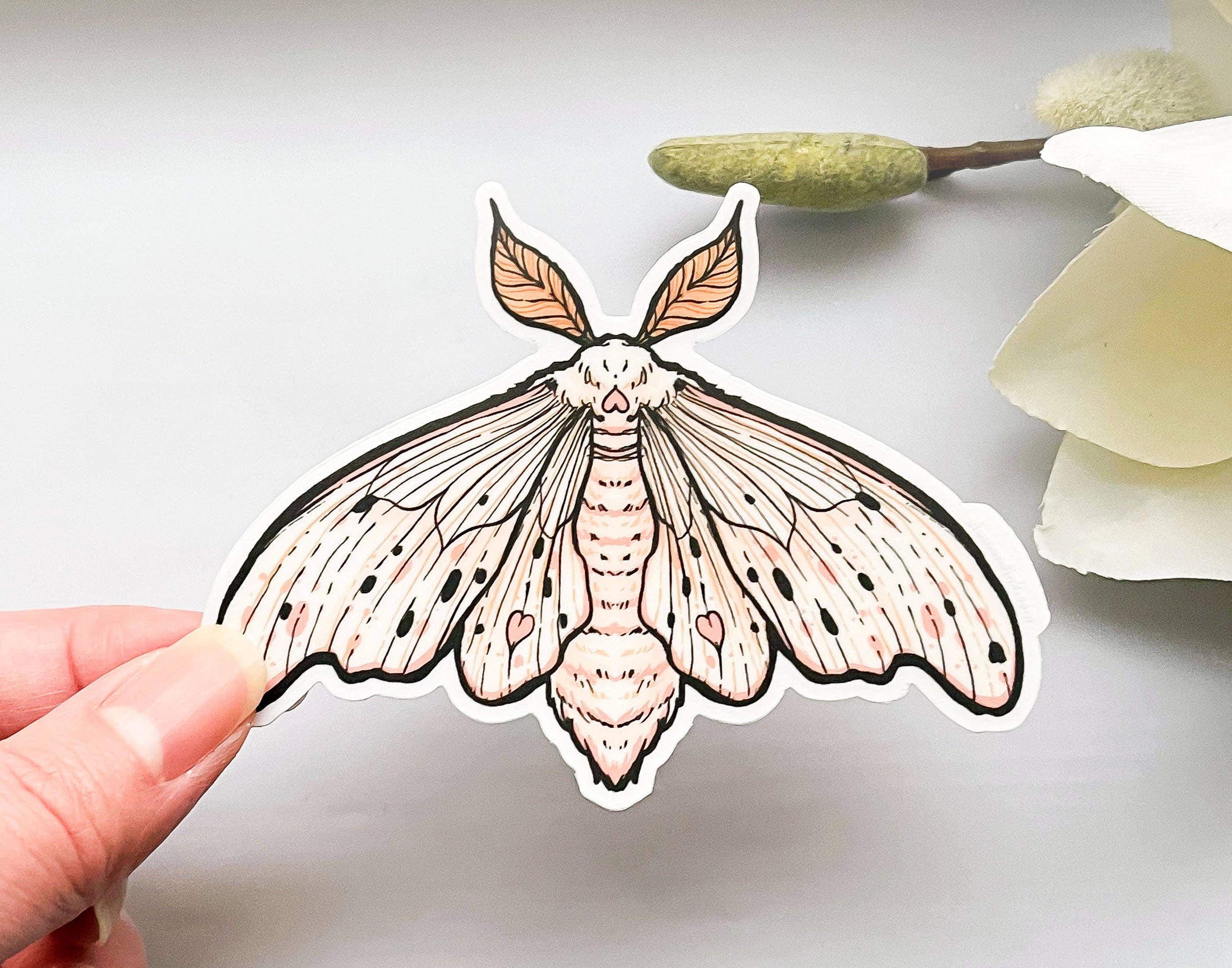 Alum and Ink - Wholesale Sticker - Poodle Moth (Domestic Silk Moth, Bombyx mori) Clear Vinyl Sticker5