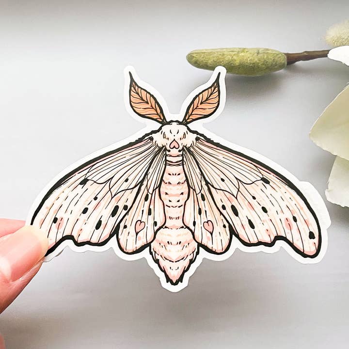Alum and Ink - Wholesale Sticker - Poodle Moth (Domestic Silk Moth, Bombyx mori) Clear Vinyl Sticker5