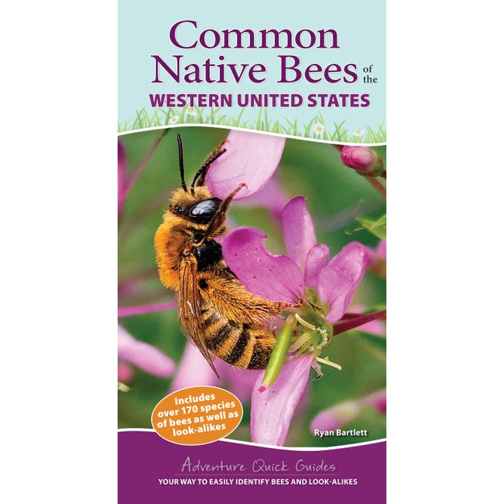 Common Native Bees of Western US Quick Guide for wholesale by AdventureKEEN