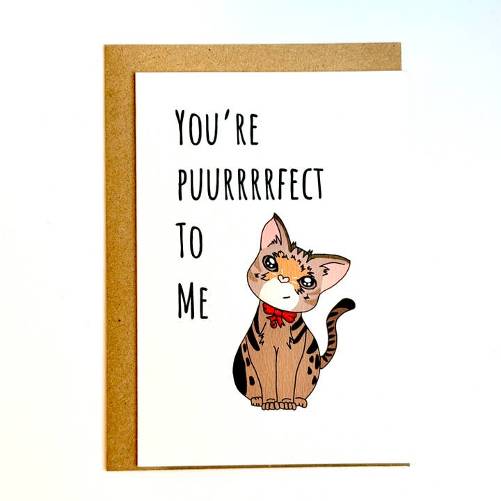Puuuurfekt Kattkort|Kattens Alla hjärtans dag-kort| Klistermärkes-kort för wholesale av Puntastic & Ho
