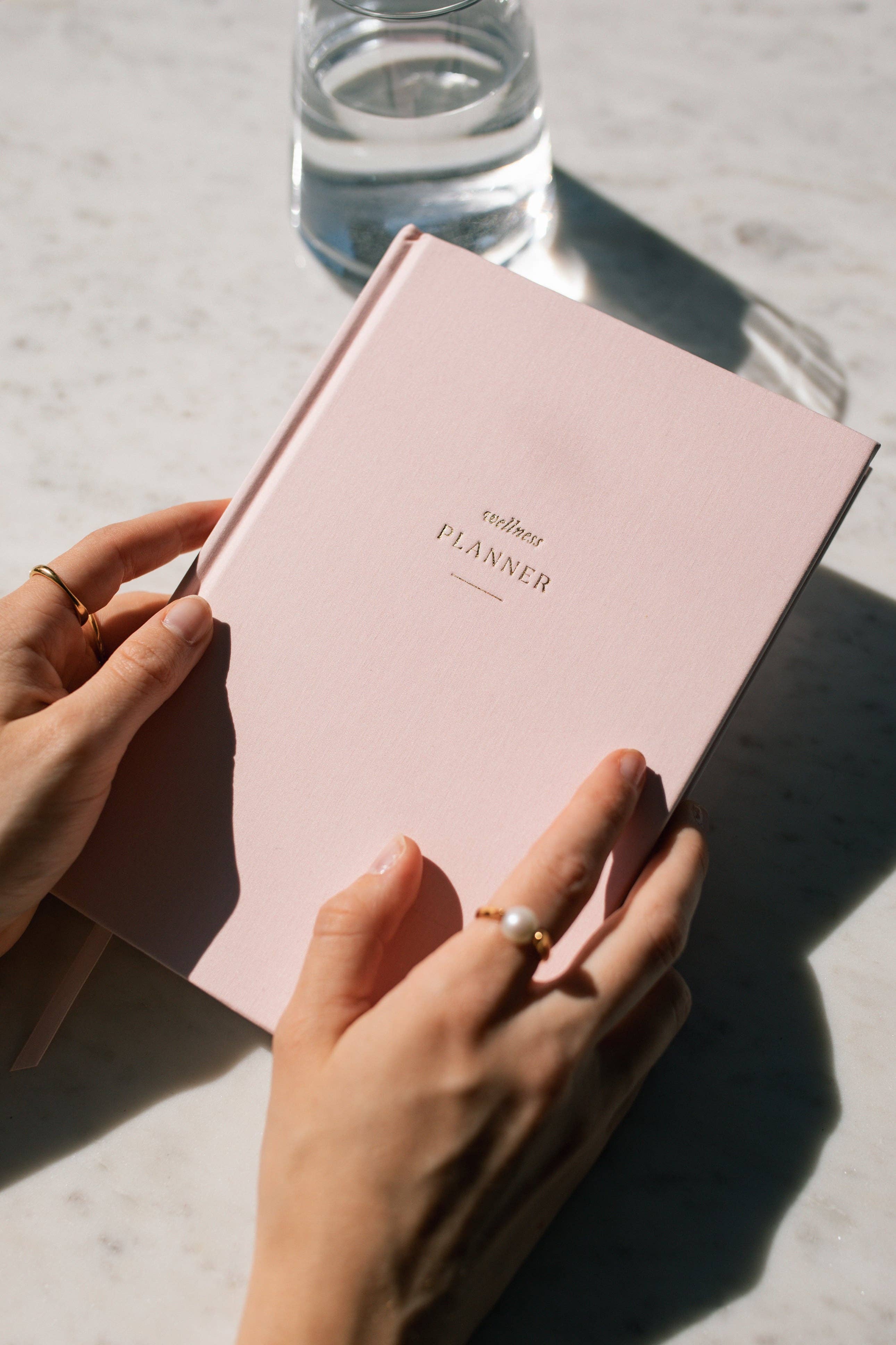 Strawberry Goose - Wholesale Planner - Wellness Planner8