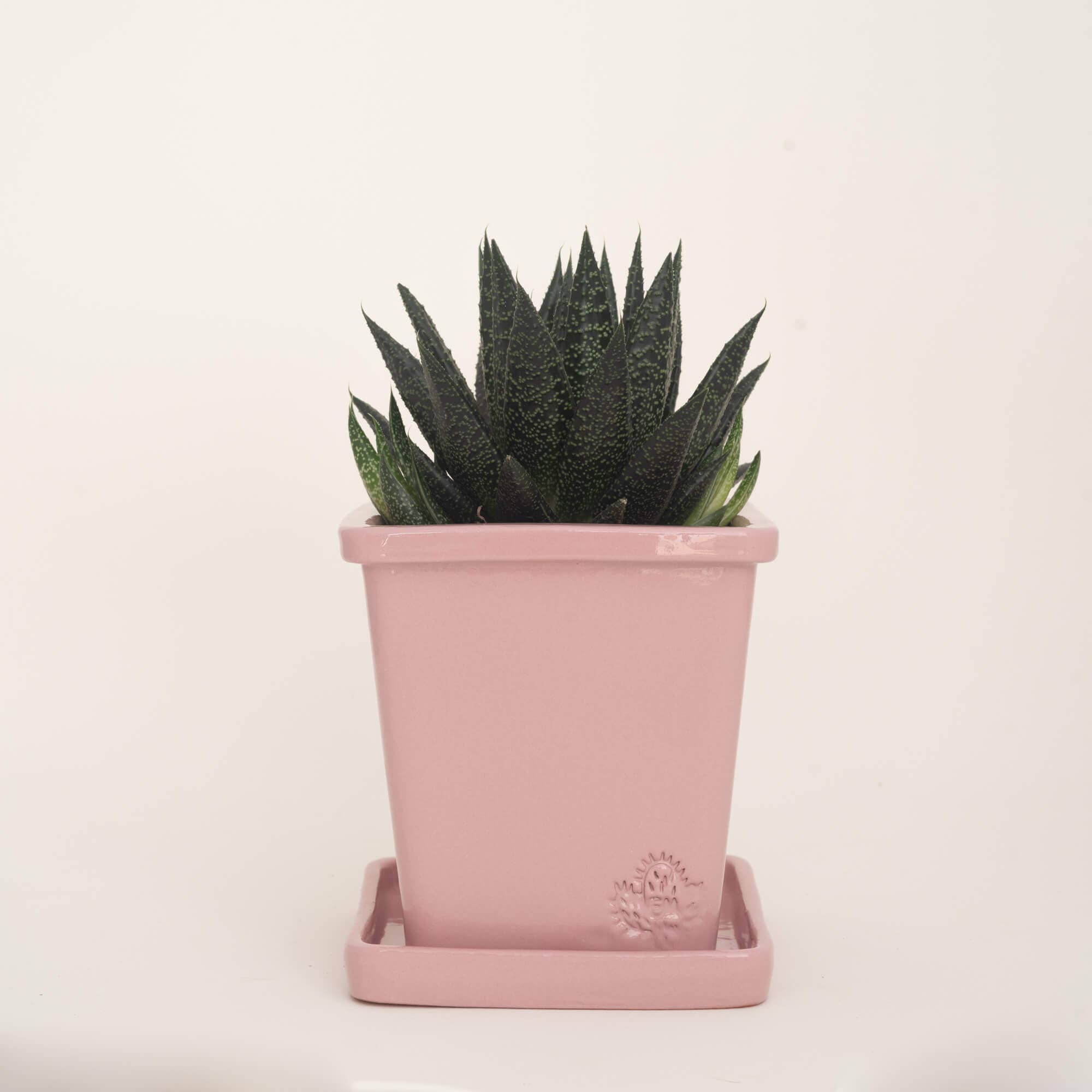 Vasos Quadrados by EM – Engroshandel Plantekrukke – Medium firkantet vase 14x14 cm - blank31