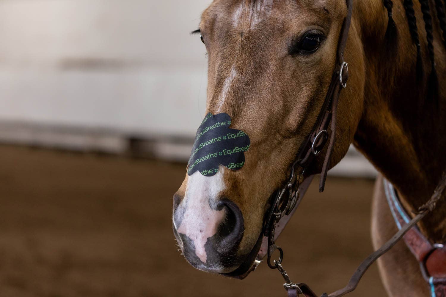 EquiBreathe™ - Vente Équipement d’équitation - Patch nasal équin EquiBreathe™ - EquiBreathe™2