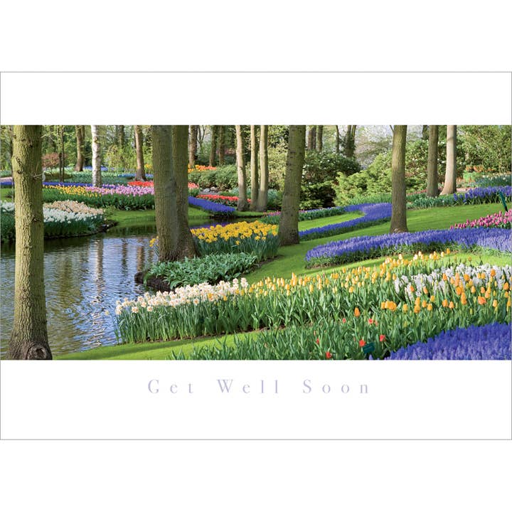 Get Well Card - Keukenhof for wholesale by Leonard Smith