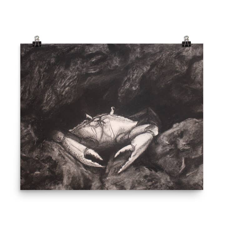 Crabby Cove pour la vente par Wildness By Design
