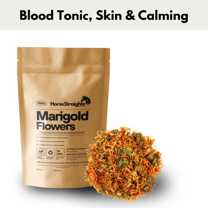 Marigold Flowers for wholesale by Horse Straights Direct