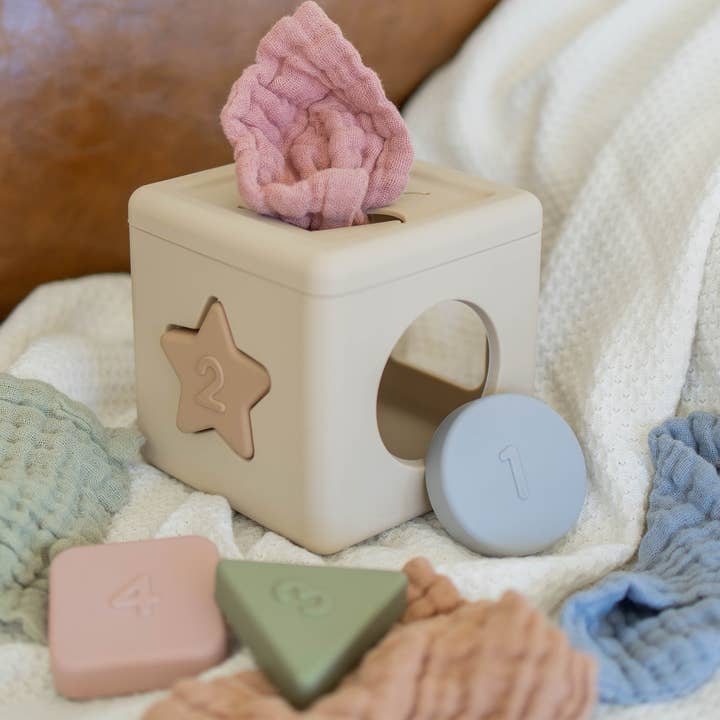 Brooklyn Neutral - Wholesale Toy Set - Kids - Shape Sorter Tissue Toy0