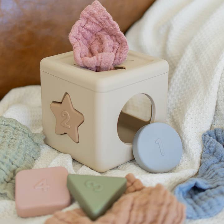 Brooklyn Neutral - Wholesale Toy Set - Kids - Shape Sorter Tissue Toy0