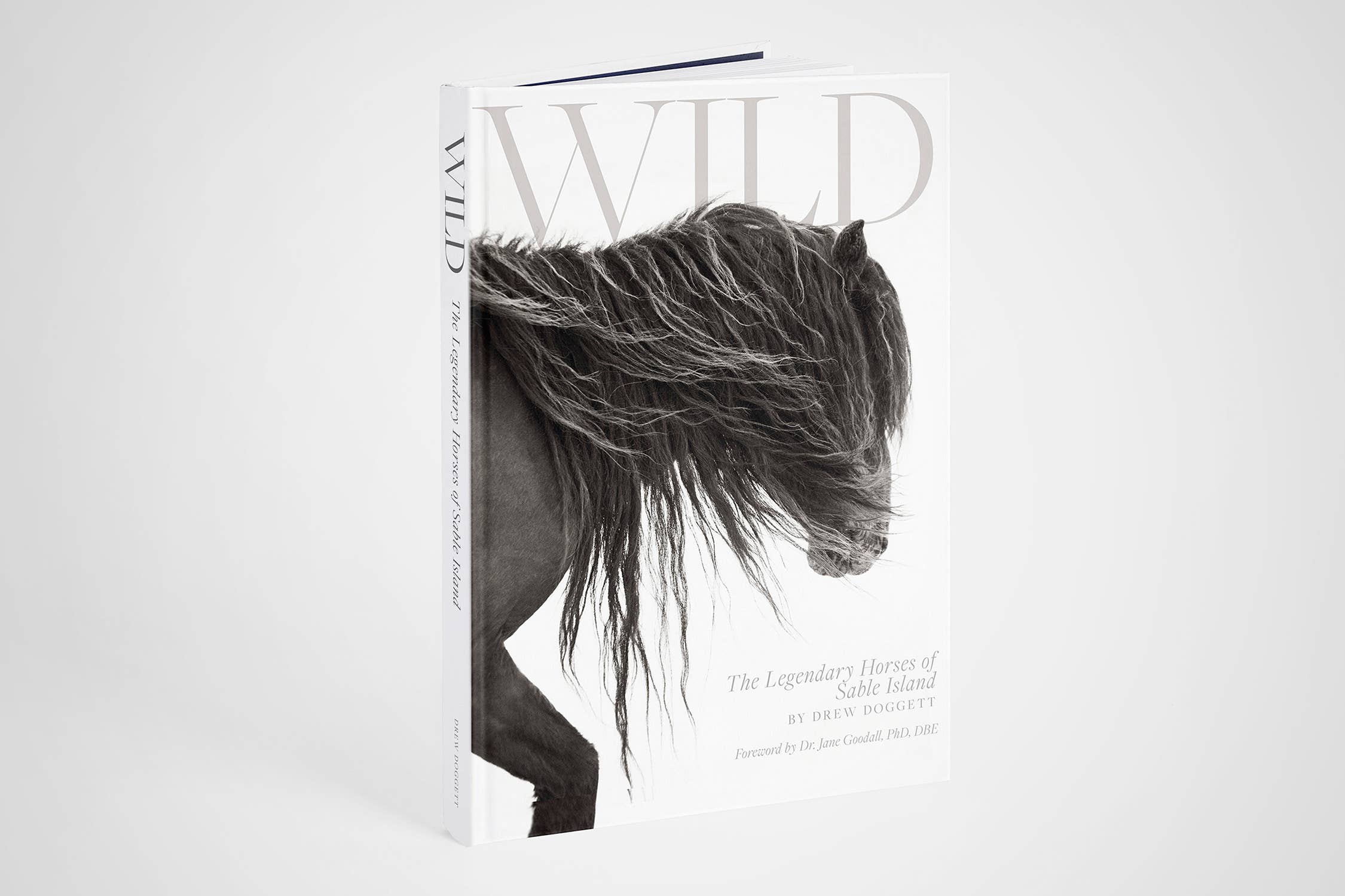 Drew Doggett Photography - Vendita all'ingrosso Display Book - Wild: I leggendari cavalli di Sable Island9