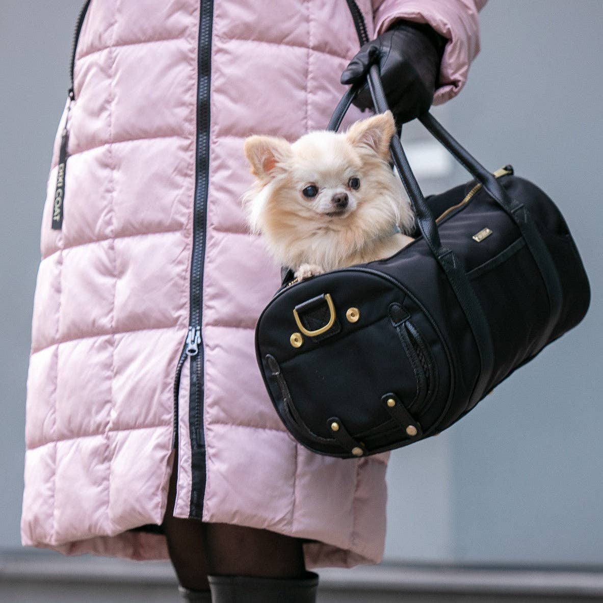 MERÏKH bags & accessories ©™ - Vente Caisse de transport – chat et chien - Sac de transport pour animaux approuvé par les compagnies aériennes S - Noir20