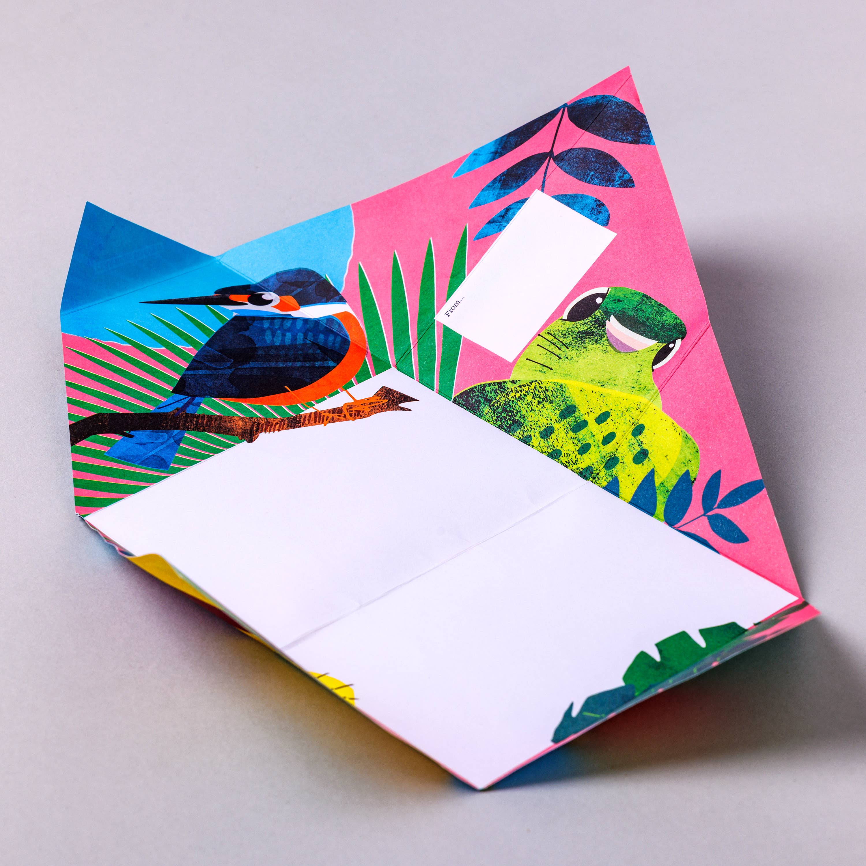 pigeonposted - Wholesale Stationery/Notecard Set - Wild Lives Pigeon, Kid's Folding Letter Set – Pack of 62
