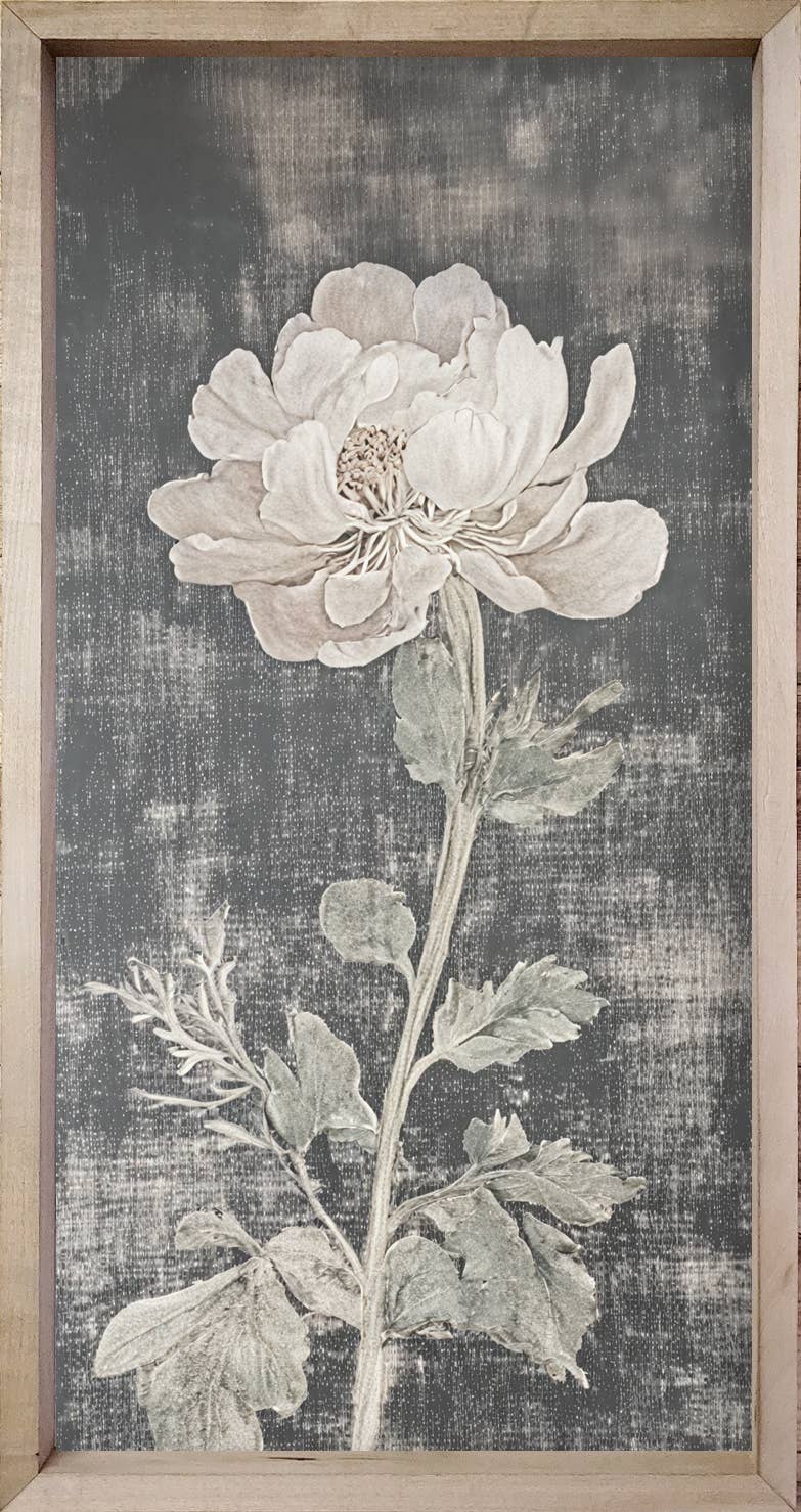 Brayden and Brooks - Venta al por mayor Conjunto de galería de pared - 35x18 Botánicos Vintage Oscuros1