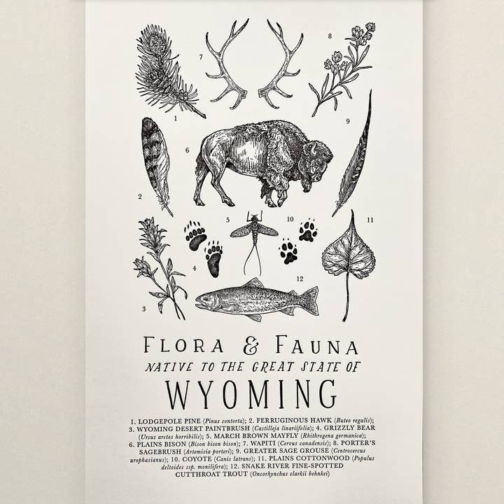 Wyoming Field Guide im Letterpress-Druck für den Großhandel von The Wild Wander