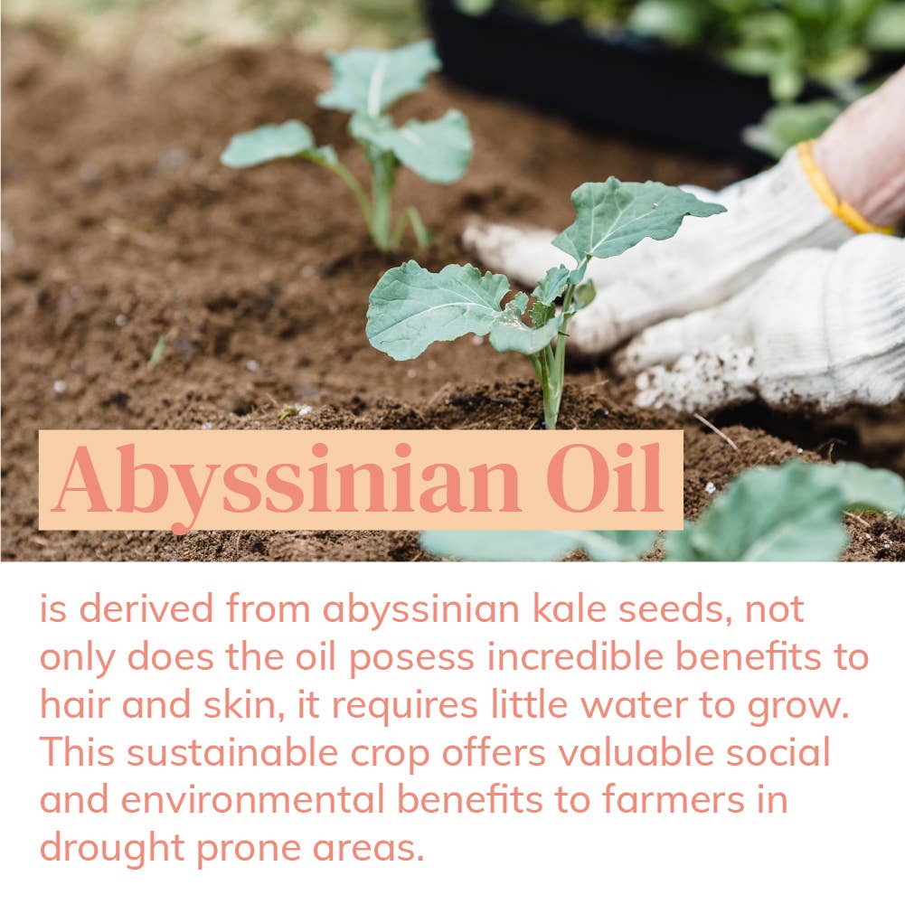 Abyssian - Vendita all'ingrosso Shampoo - Shampoo Idratazione Intensa - Per Capelli Secchi, -93% Caduta Capelli10