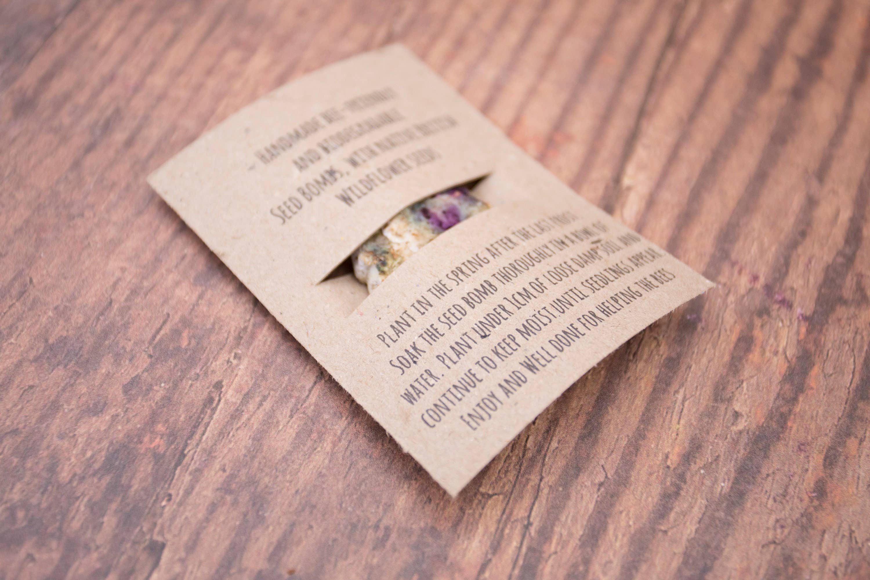 Katy and the Bear - Wholesale Zaadjes voor platten - Plastic gratis leraar cadeau zaadbom en plantbare kaart3