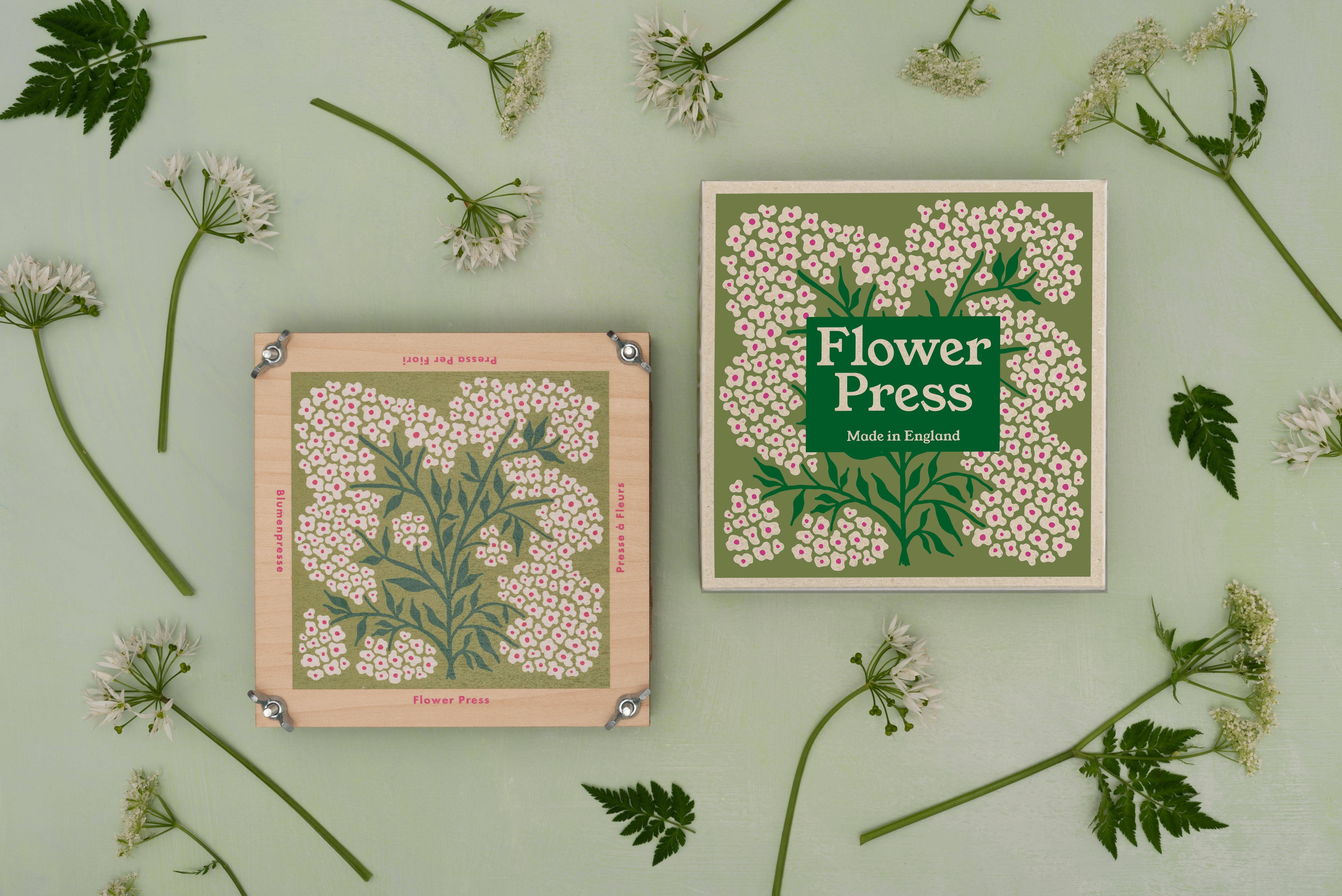 Studio Wald - UK Made - Wholesale DIY Craft Kit - Flower Press - Forget Me Not4