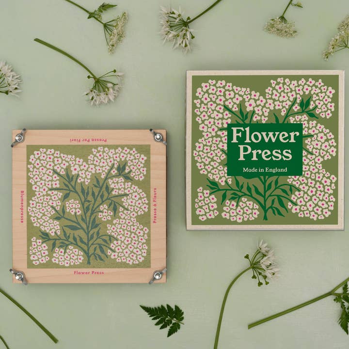 Studio Wald - UK Made - Wholesale DIY Craft Kit - Flower Press - Forget Me Not4