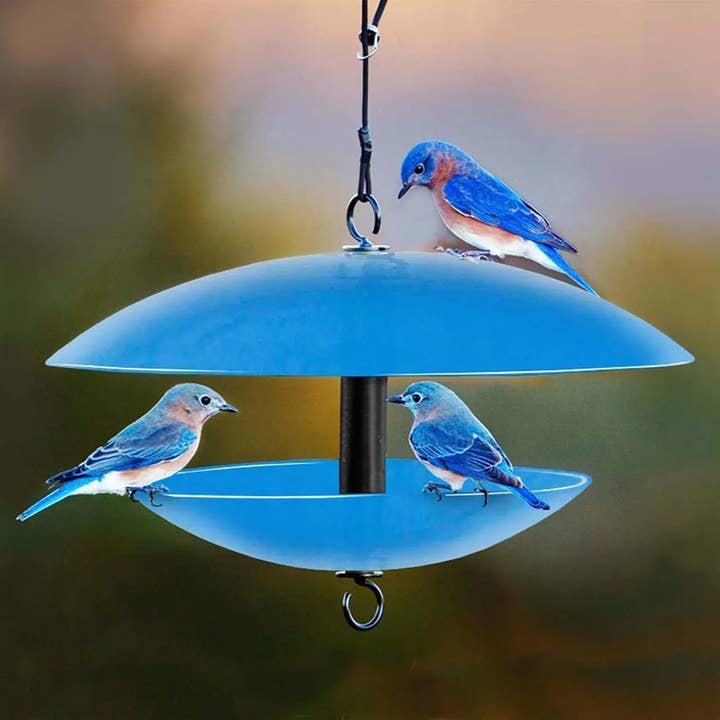 Couronne Co. - Wholesale Bird Feeder - Mosaic Birds - 15" Glass Feeder Weather Dome Blue