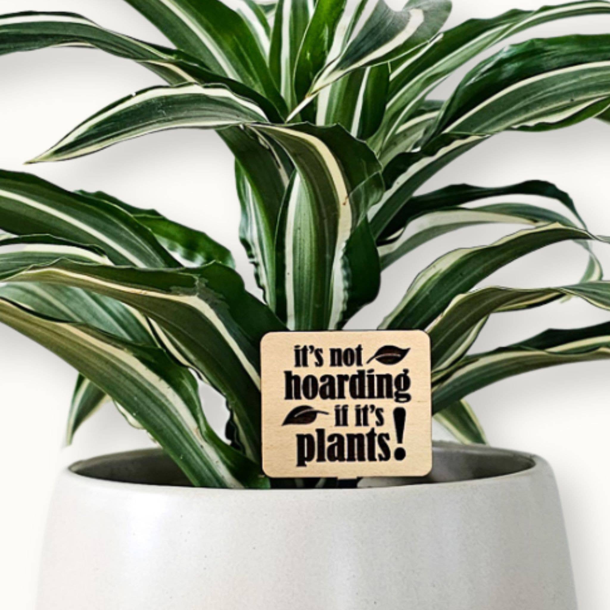 Leaf & Node - Wholesale Plant Pot - Funny Plant Sayings, Indoor Plant Accessories - Plant Stakes2