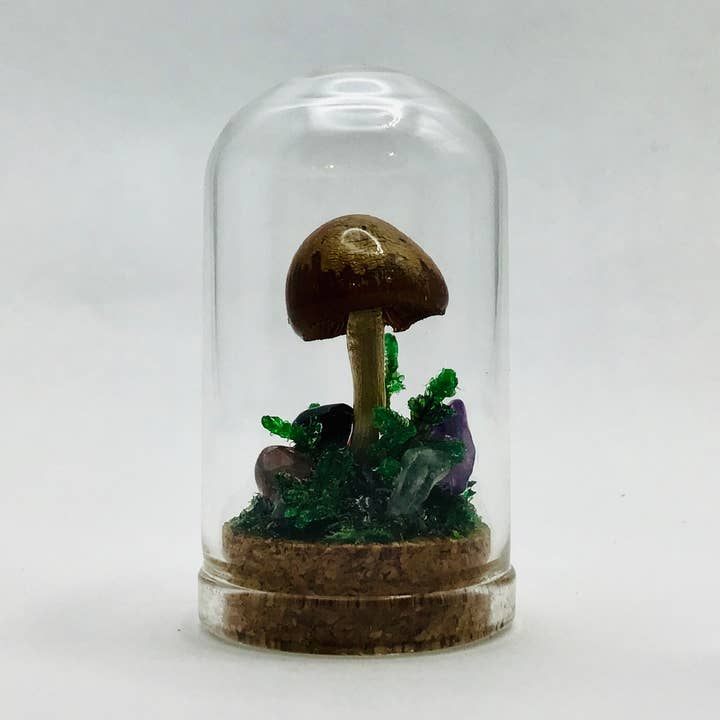 Real Mushroom Curiosity Jar Fungi Oddity Decor 1.75" # 640 for wholesale by Fungus Farm LLC