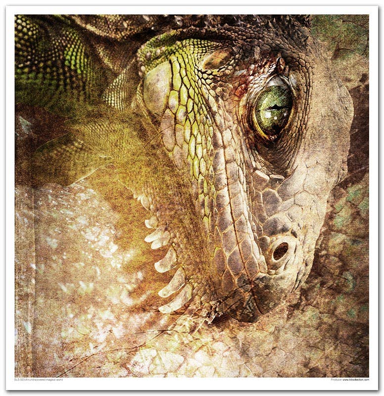 ITD Collection - Vendita all'ingrosso Scrapbooking - SLS-023 - set 11 pezzi x 310x320 mm / 12,2x12,6 in - 200 GSM9