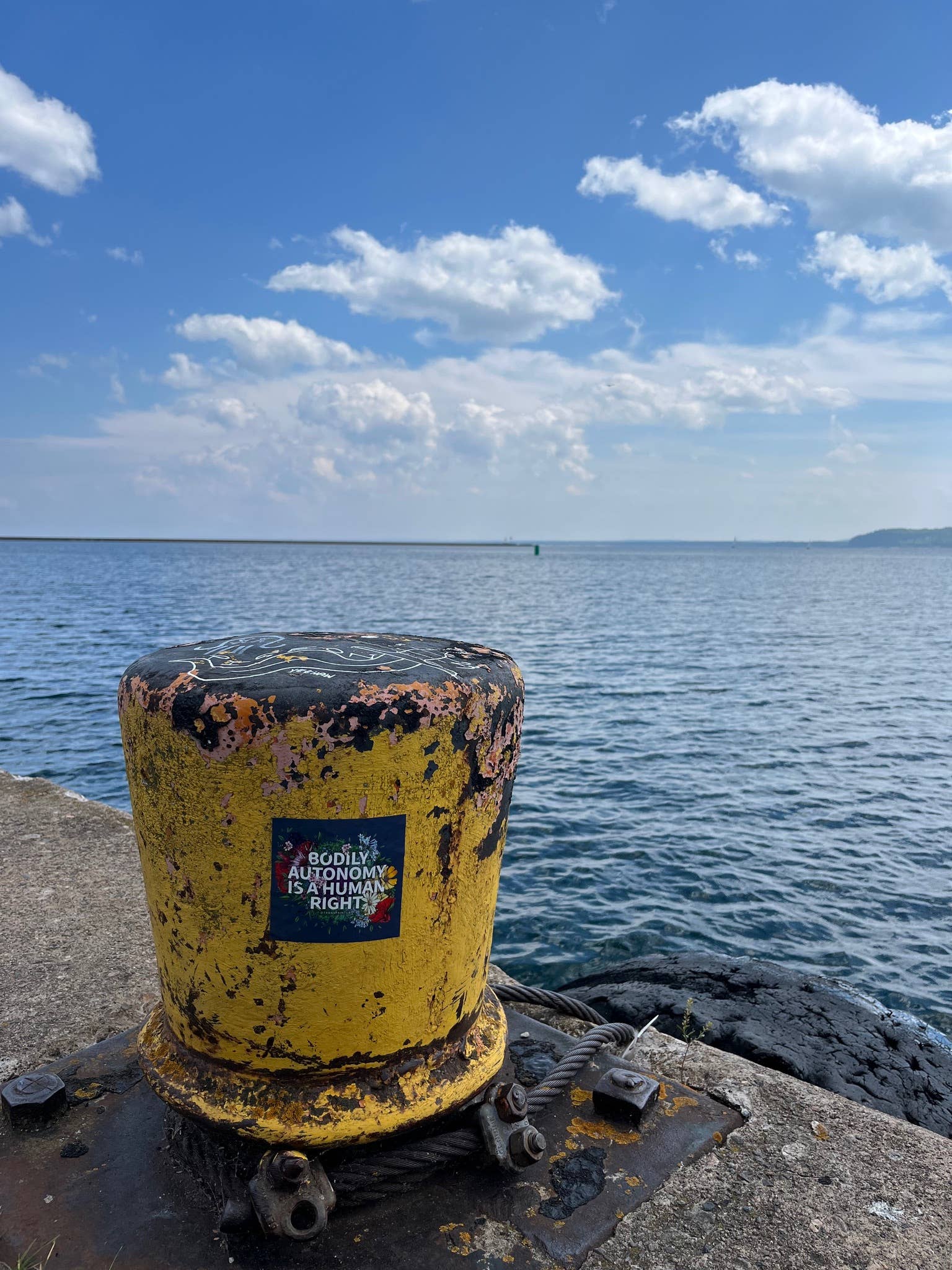 Transpainter - Wholesale Sticker - Bodily Autonomy is a Human Right Sticker | Feminist Stickers7