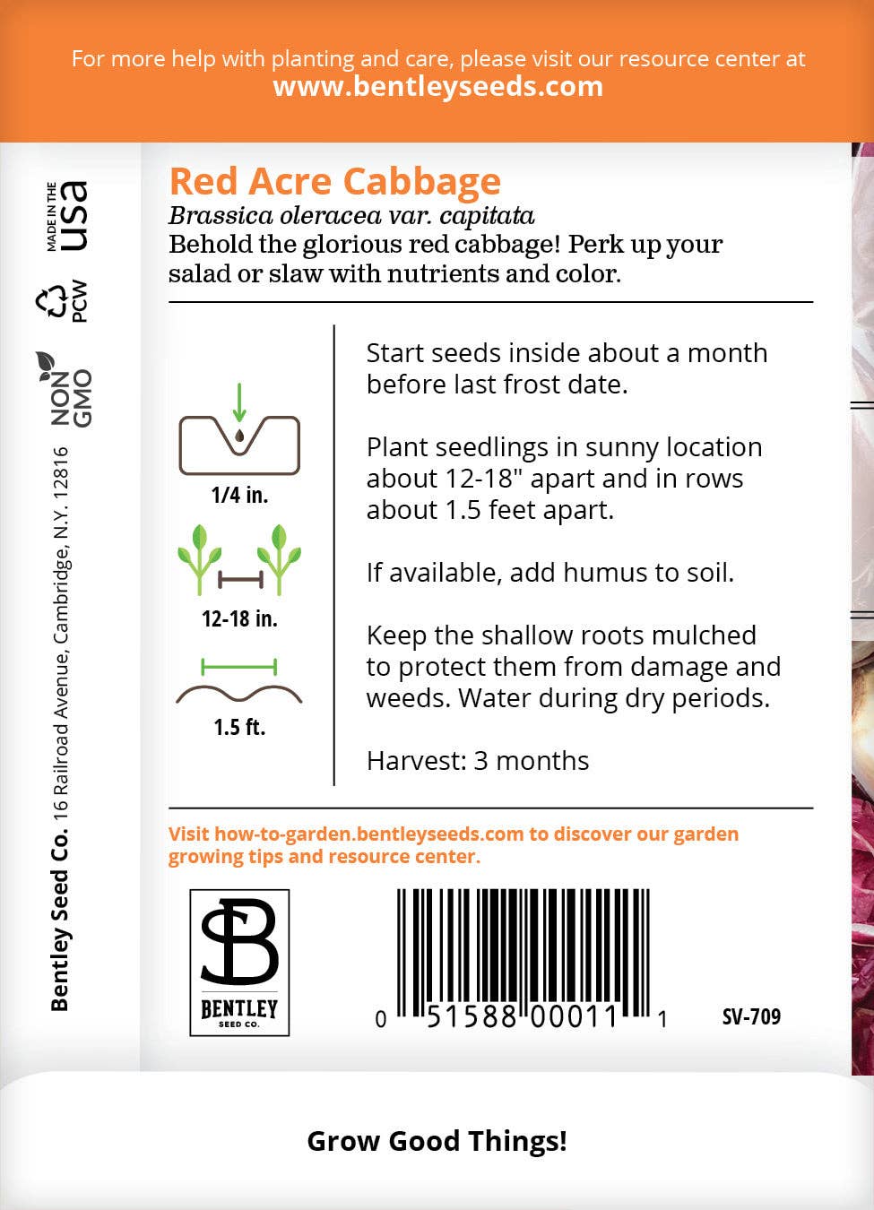 Bentley Seed Co. - Vente Graines de plantes - Chou, Paquets de Graines Red Acre1