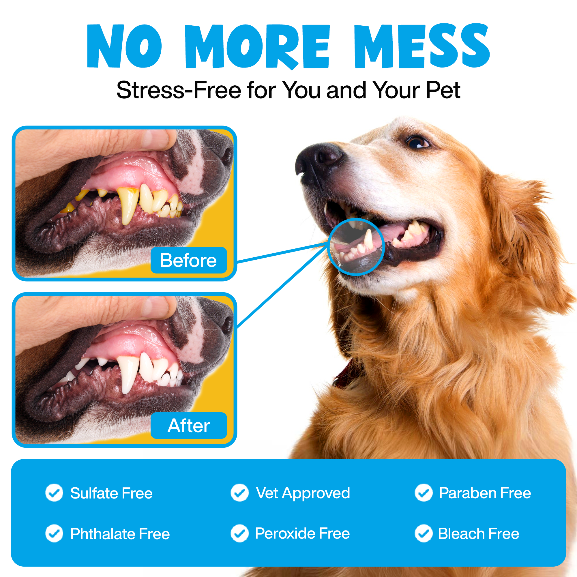 Roofus - Wholesale Pet Toothpaste - Dog - Roofus Dental Wipes | Mint | 60ct3