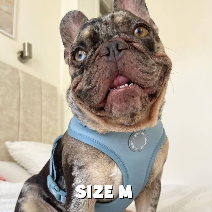 WOOF INC - Wholesale Pet Harness - Dog - Dusty Blue Adjustable Dog Harness5