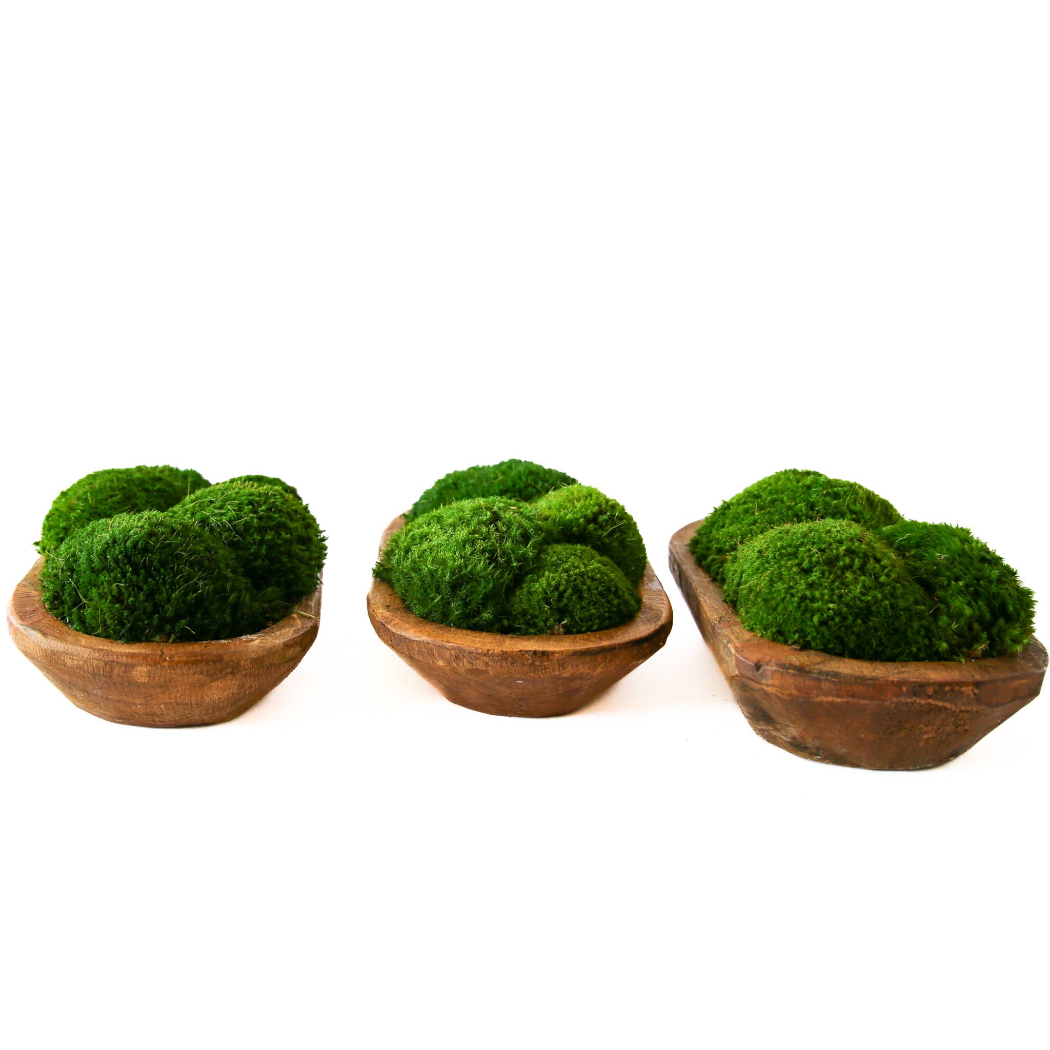 Forever Green Art – Engroshandel Pyntetallerken/skål – Moss Petite træfad5