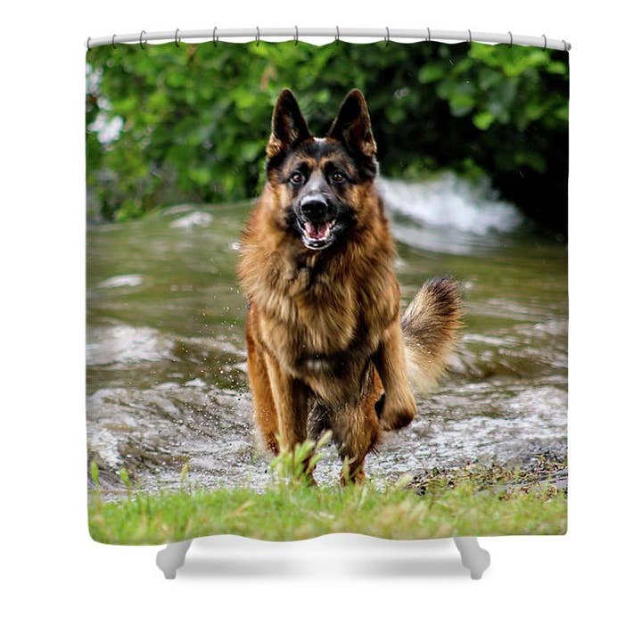 DUSCHVORHANG „DER DEUTSCHE SCHÄFERHUND IM LAUF“ für den Großhandel von sorayadapuzzostore