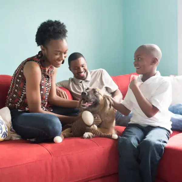 ZippyPaws - Wholesale Pet Plush Toy - Dog - Spencer Crinkle Monkey - Brown - XL - Dog Toy1