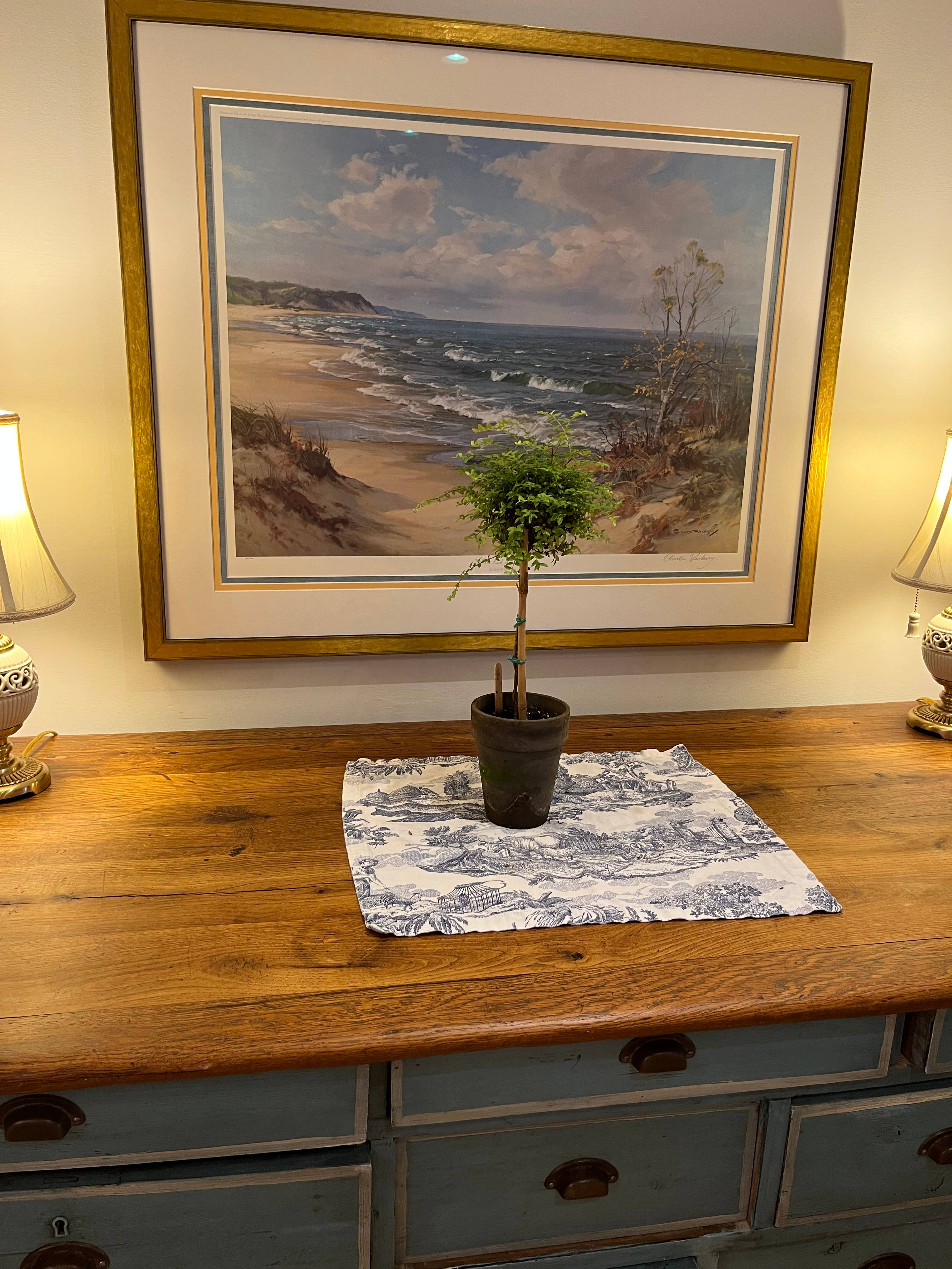 Sunrise Topiaries - Vente Plante - Topiaire en chèvrefeuille vivant en buis dans un pot de 5 pouces