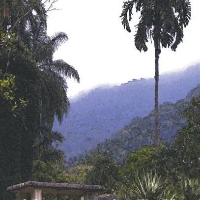 Books by splitShops - Wholesale Classics - Almayer's Folly - Hardcover