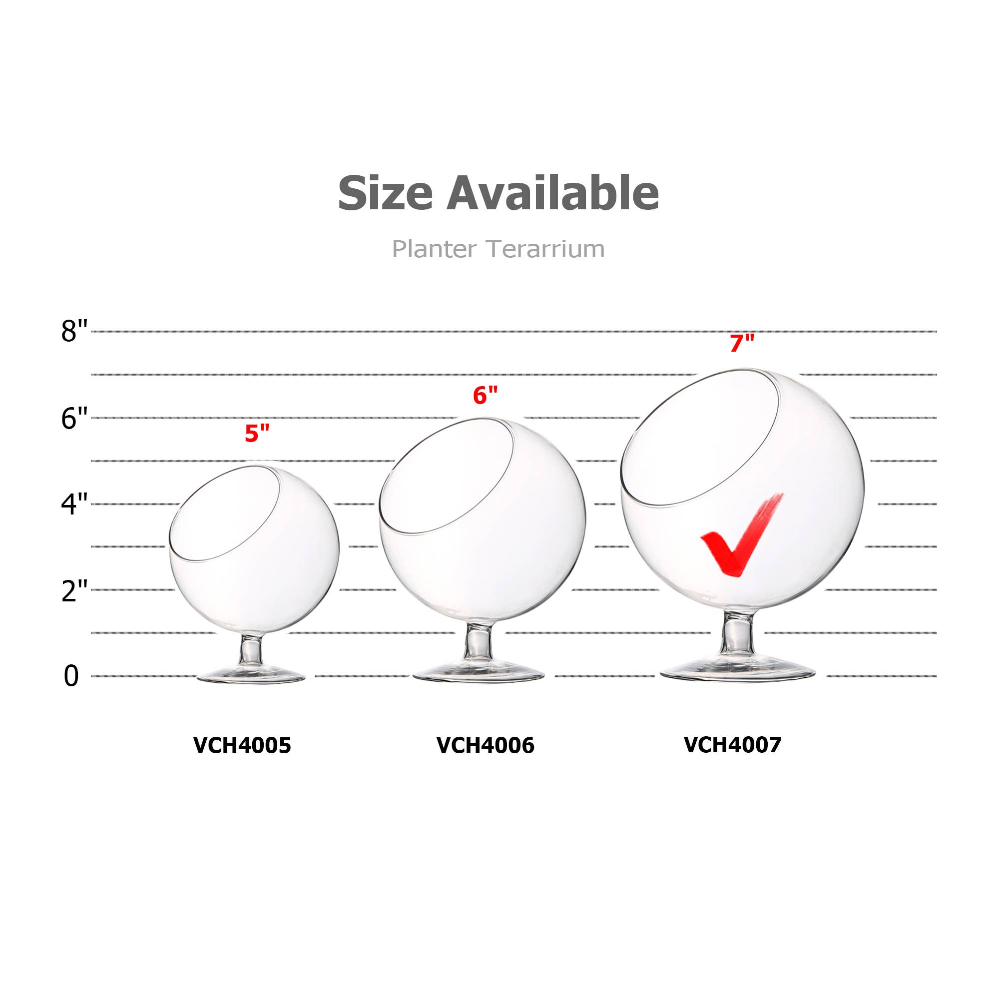 WGV International - Wholesale Terrarium - WGV Slant Bowl Terrarium On Stem - 6" x 7"H2