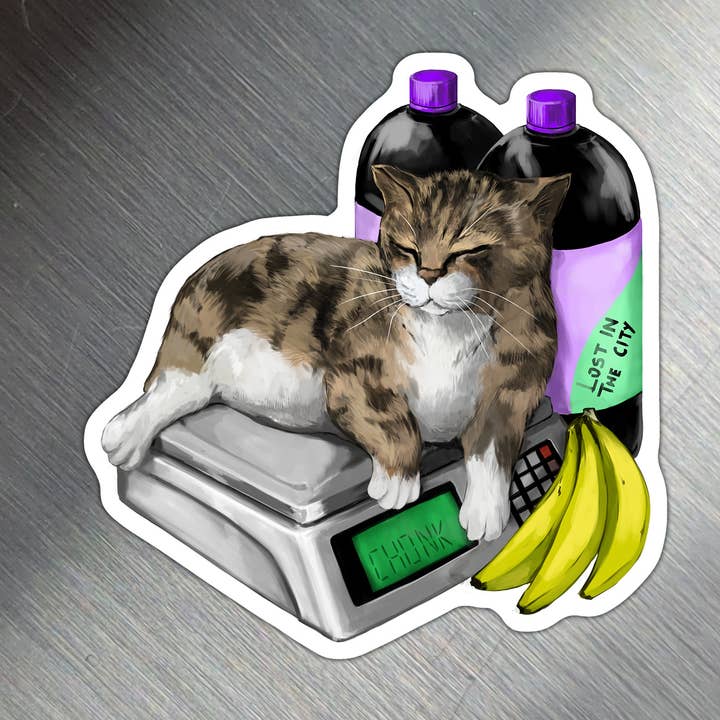 Bodega Cat on Scale Magnet | Lost in the City for wholesale by Santi of all Trades