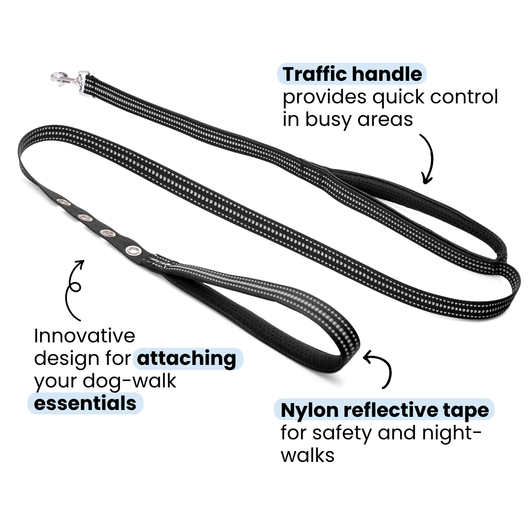 StitchLeash - Wholesale Pet Leash - Dog - StitchLeash® Bryce Clip & Go™ Flat Nylon Leash – Black | 6 ft | 24 per case2