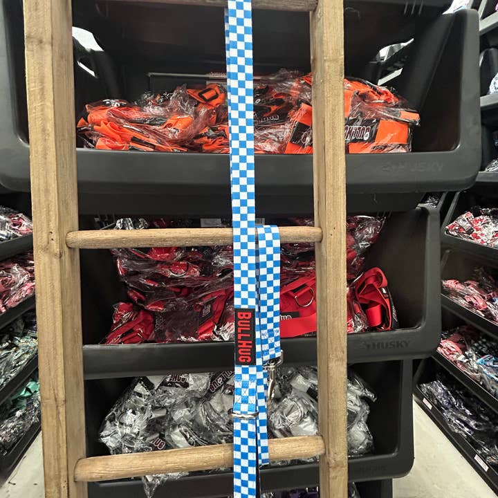 "BLAUWE DAMBORD" 6FT BULLHUG LIJN voor wholesale door Bullhug