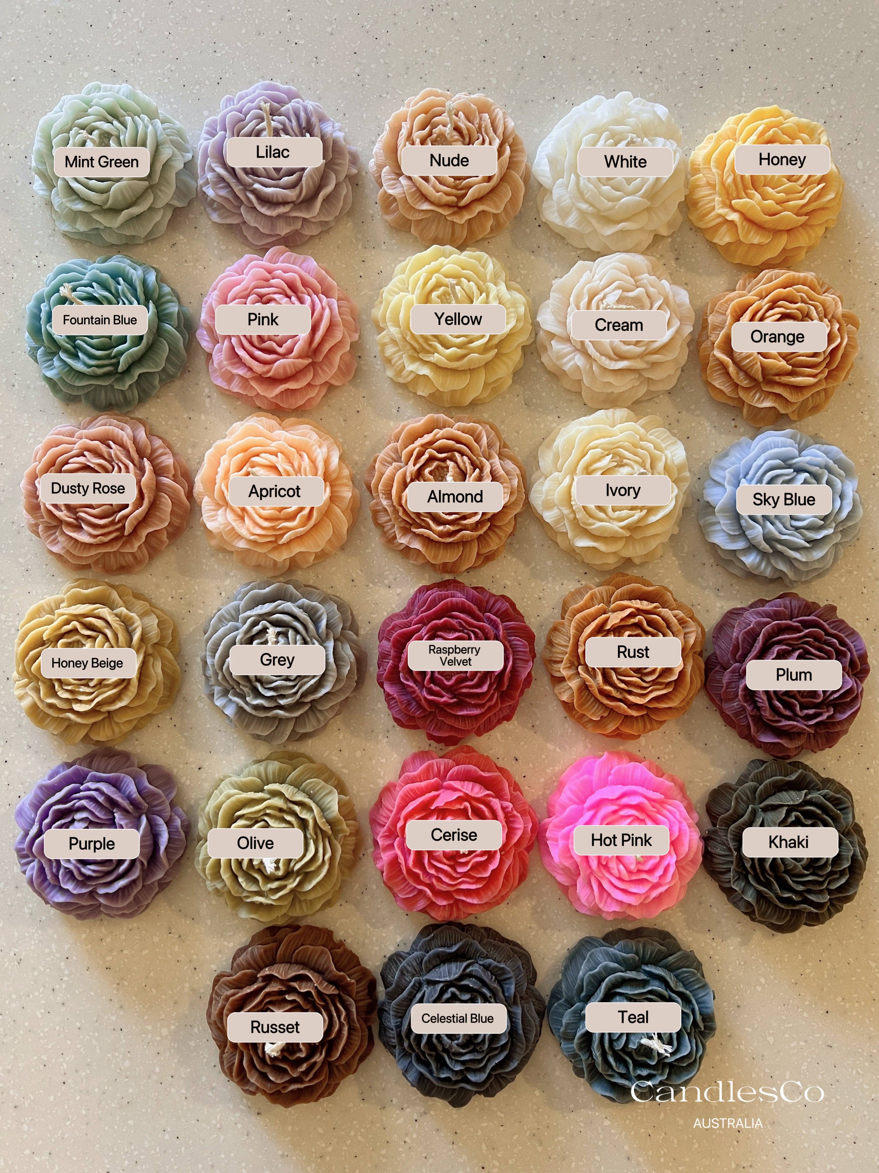 CandlesCo Australia – Großhandel Konische Kerze/Kerzenhalter – Die Signature Taper | Lebendige skulpturale Sojakerze10