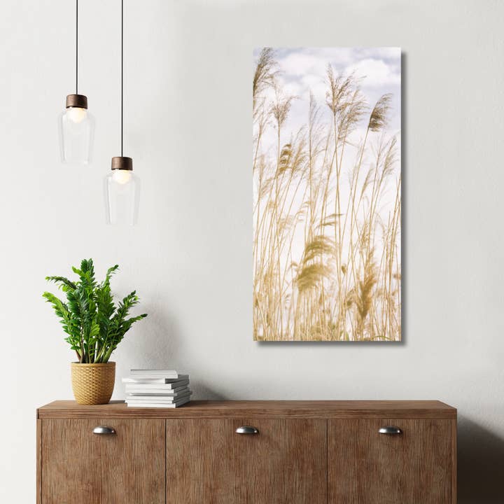 Acrylic Wall Art Tall Grass for wholesale by Alexis Arnold Photography