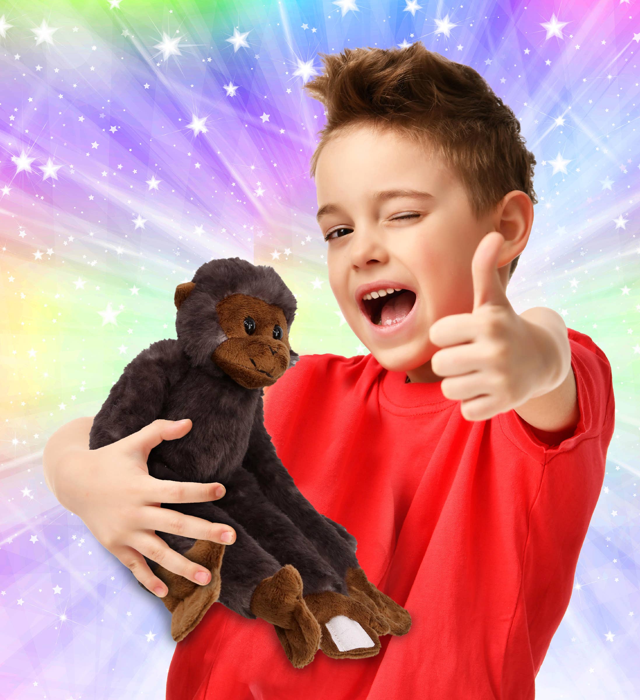 Cota Global - Wholesale Stuffed/Plush Toy - Kids & Baby - Super Soft Plush - Long Arm Hanging Black Capuchin Monkey1