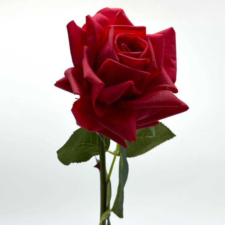 JKF & Co Pty Ltd - Wholesale Artificial Flowers - Abby Real Touch Rose Red