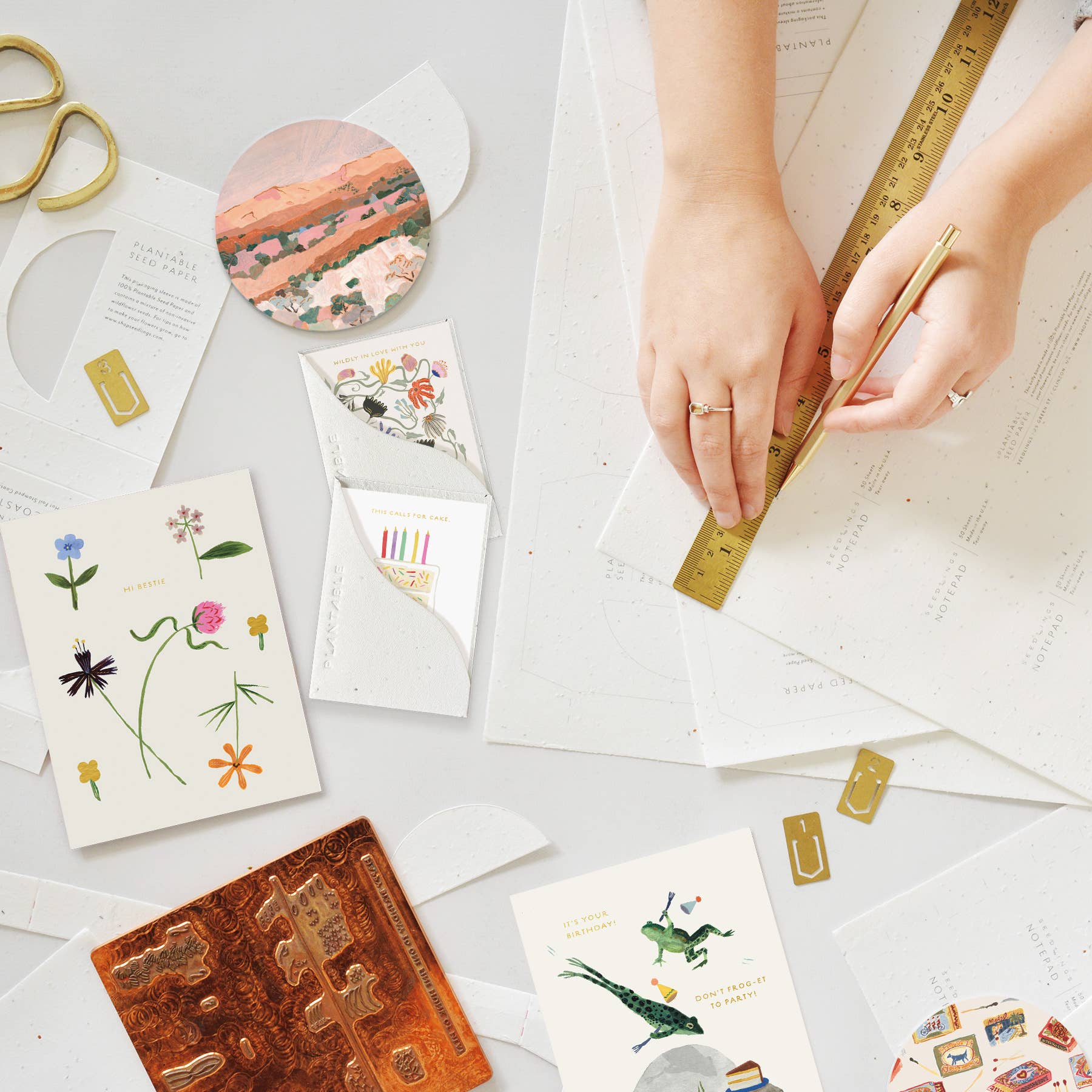 Seedlings - Wholesale Verjaardagskaartje - Verjaardagssnede Spruit - Verjaardagsminiwenskaart5