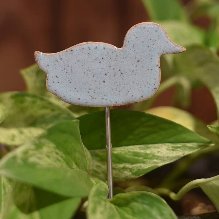 Växt kompisar - Anka för wholesale av Mud & Maker