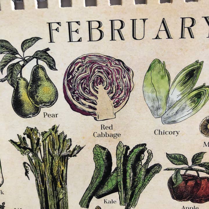 Hannah Turpin Designs - Wholesale Calendar - Seasonal calendar, Fruit and Veg Monthly Desk Calendar (UK F
