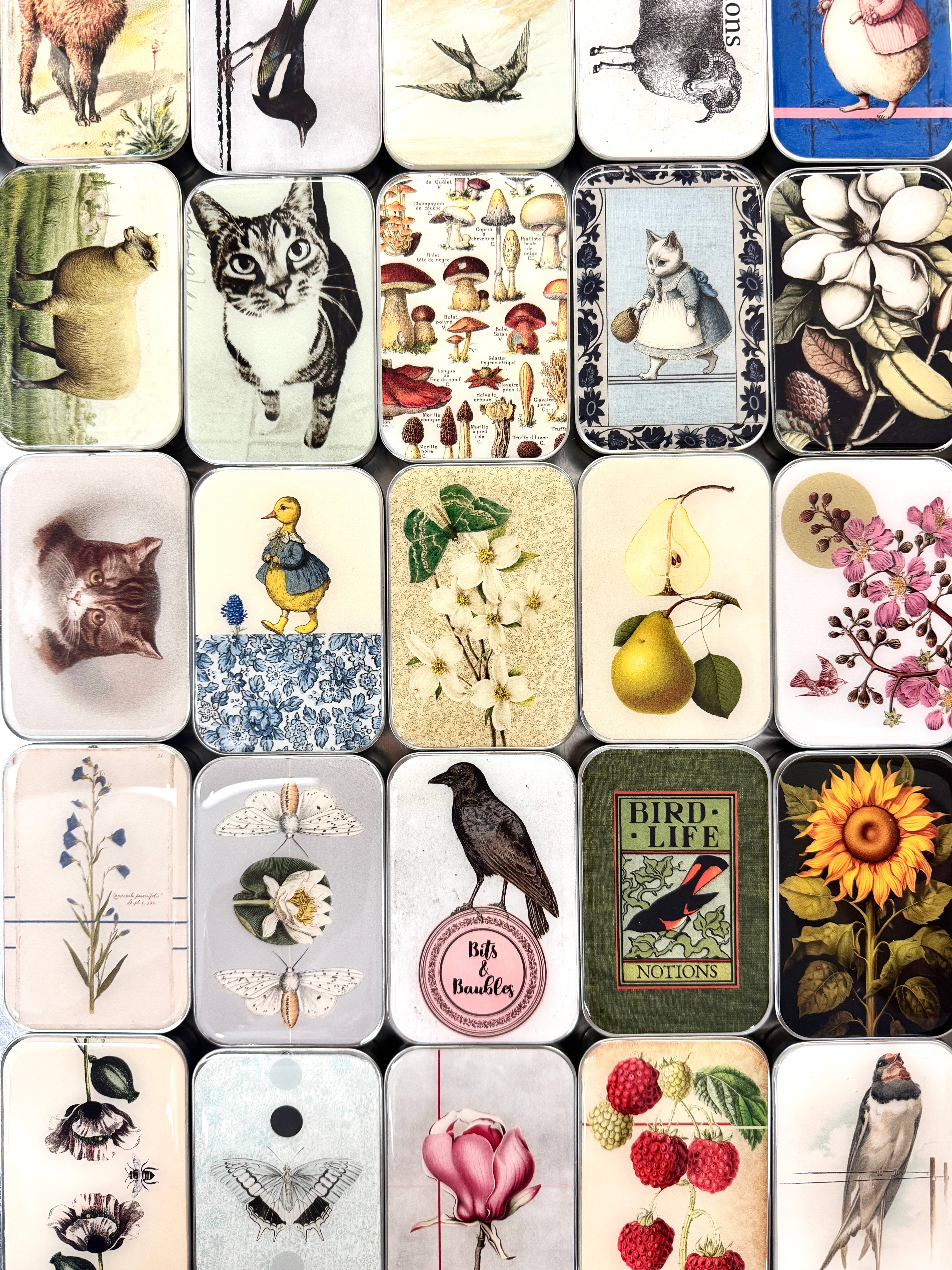 Firefly Notes - Vente Boîtes décoratives - Packs variés de boîtes métalliques prêts à être expédiés2