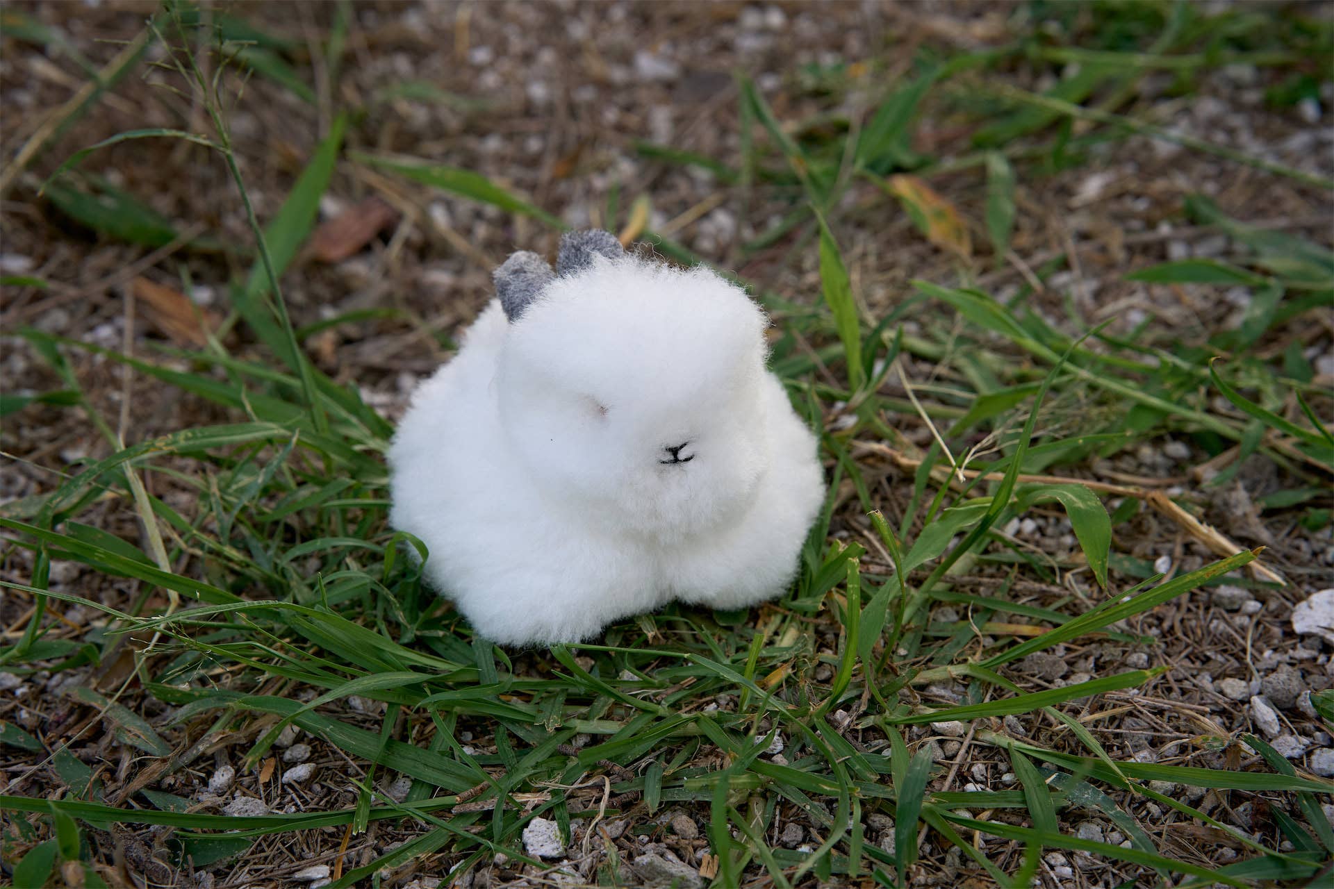 Terra Natural Designs - Wholesale Keychain - Unisex - ALPACA BUNNY KEYCHAIN7