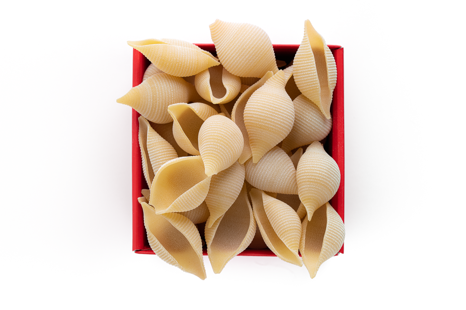 Pastificio dei Campi - Vente Pâtes - Pâtes Conchiglioni de Gragnano IGP - 500 g 100 % Made in Italy1