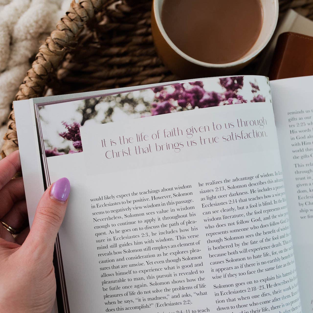 The Daily Grace Co - Vente Religion - Path to Purpose | Une étude sur le livre de l'Ecclésiaste4